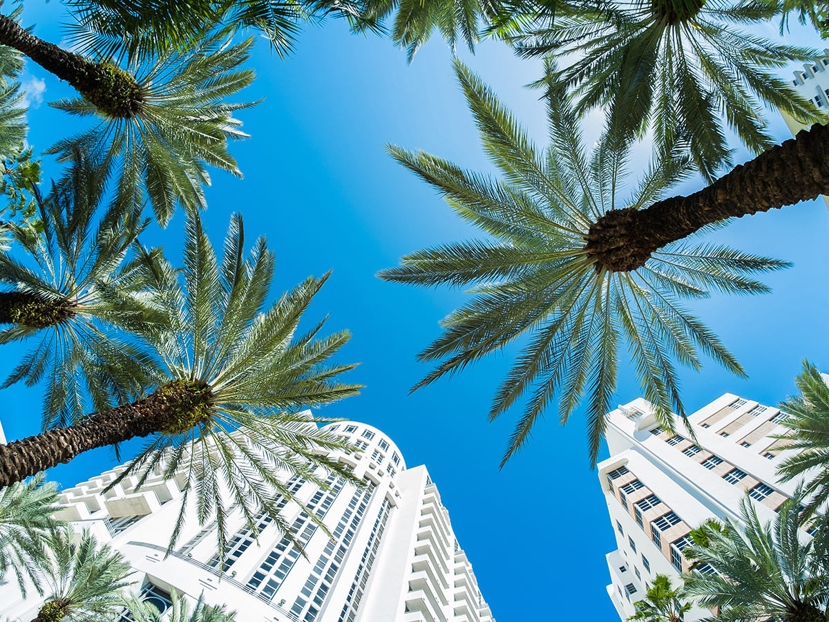 Condo Boards in Crisis: Balancing Safety, Affordability, and the Law